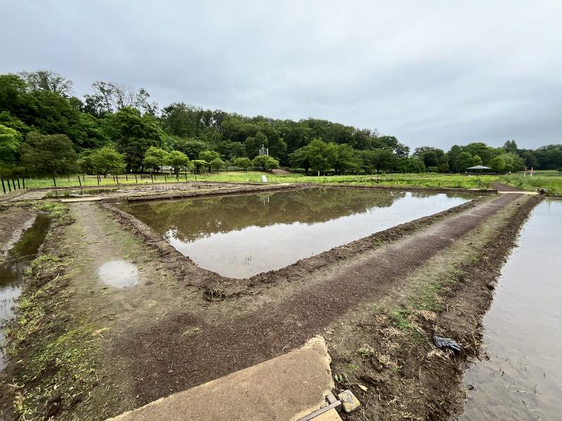オリーブパーク東京