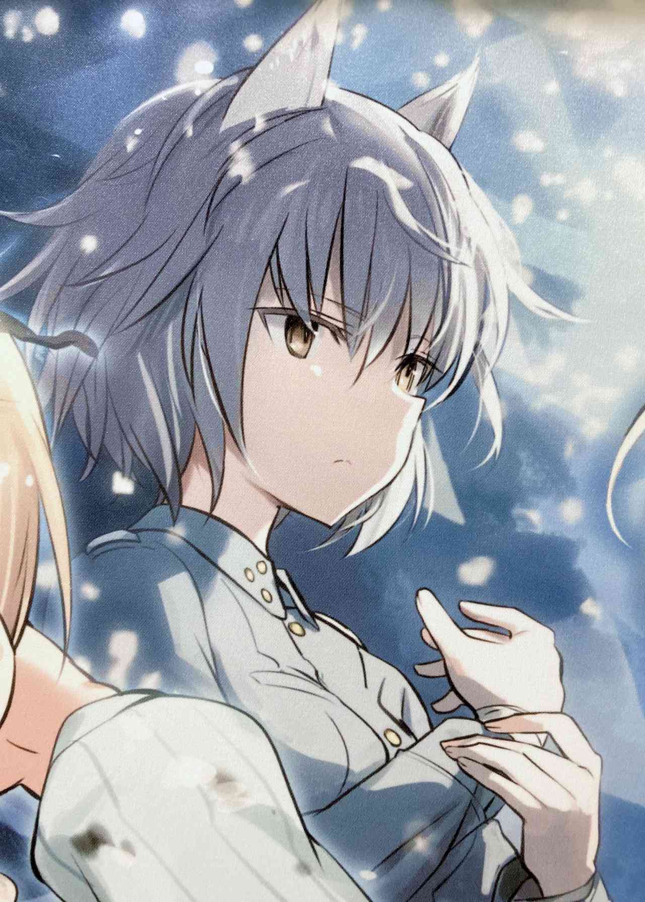 アイラ・ペイヴィッキ・リンナマー