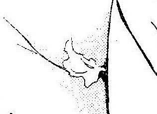 1s-img144 - コピー