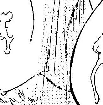 1s-img193 - コピー (2)