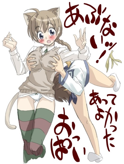 ストライクウィッチーズ ストパン リーネ おっぱい