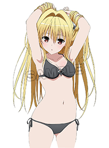 To LOVEるヤミ水着