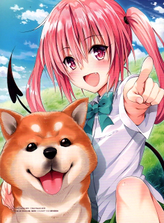 BD＆DVD「To LOVEるダークネス2nd」第2巻